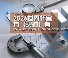 研发能力标题一