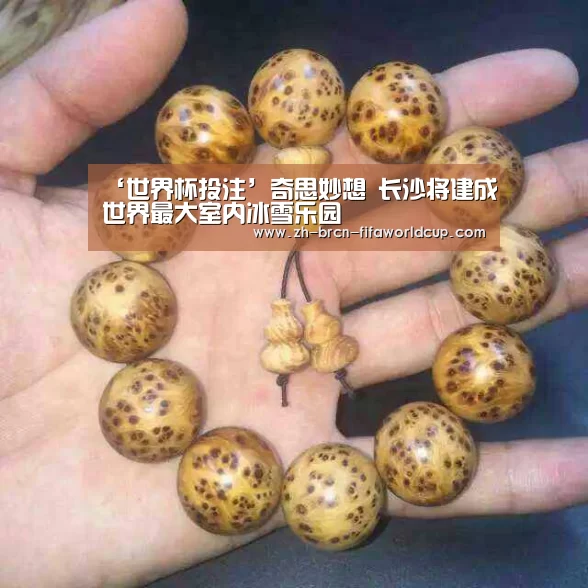 世界杯投注
