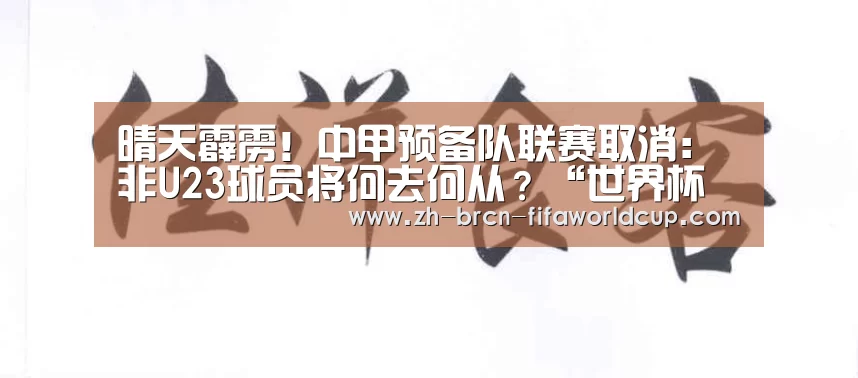 
晴天霹雳！中甲预备队联赛取消：非U23球员将何去何从？“世