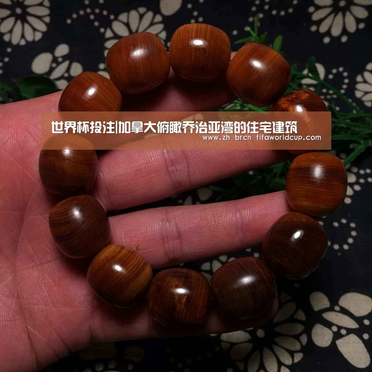 世界杯投注|加拿大俯瞰乔治亚湾的住宅建筑