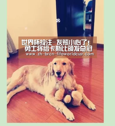 世界杯投注-灰熊小心了！ 勇士将给卡斯比颁发总冠军戒指