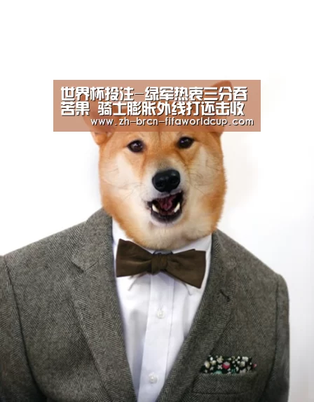 世界杯投注